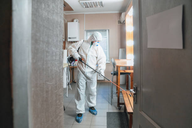 Best Forensic Mold Investigation  in Rutherford, NJ