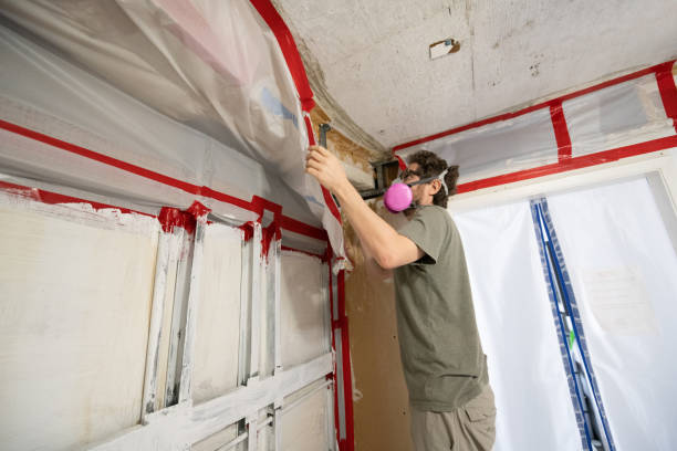 Best Industrial Mold Remediation  in Rutherford, NJ