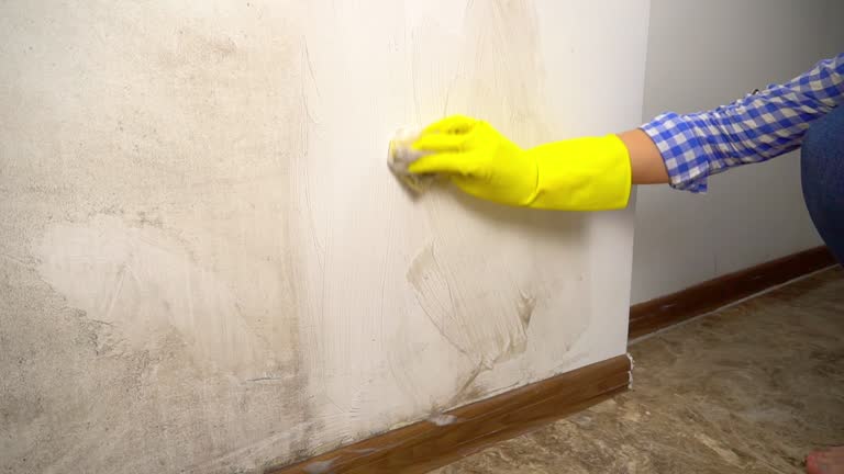 Best Post-Remediation Verification Testing  in Rutherford, NJ