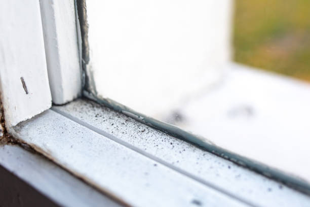 Best Dehumidification Services  in Rutherford, NJ